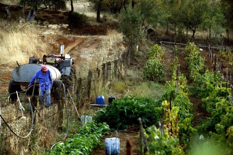 Η Στήριξη της Βιομηχανικής Γεωργίας Εξωθεί τους Μικρούς Αγρότες στην Εξαφάνιση