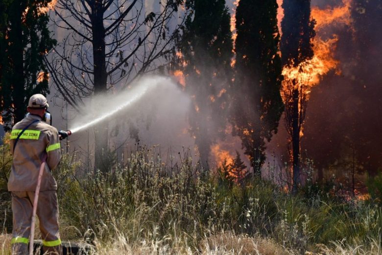 Φωτιά πλήττει δασική έκταση στο Μελενικίτσι Σερρών με ενισχυμένες δυνάμεις πυρόσβεσης